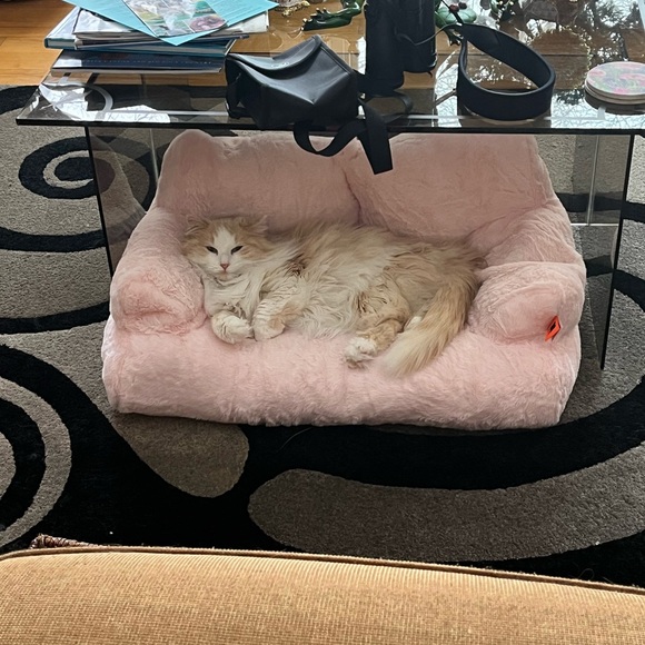 Meet your Posher, Lori (Bubbles) - Picture 10 of 16